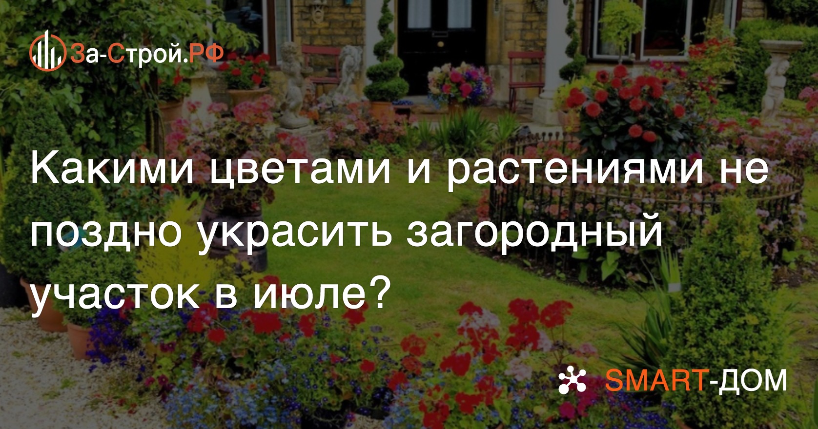 Какими цветами и растениями украсить загородный участок в июле?