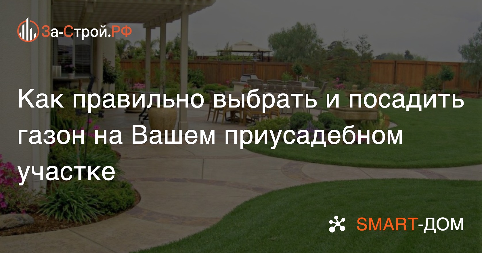 Как правильно выбрать и посадить газон на Вашем приусадебном участке