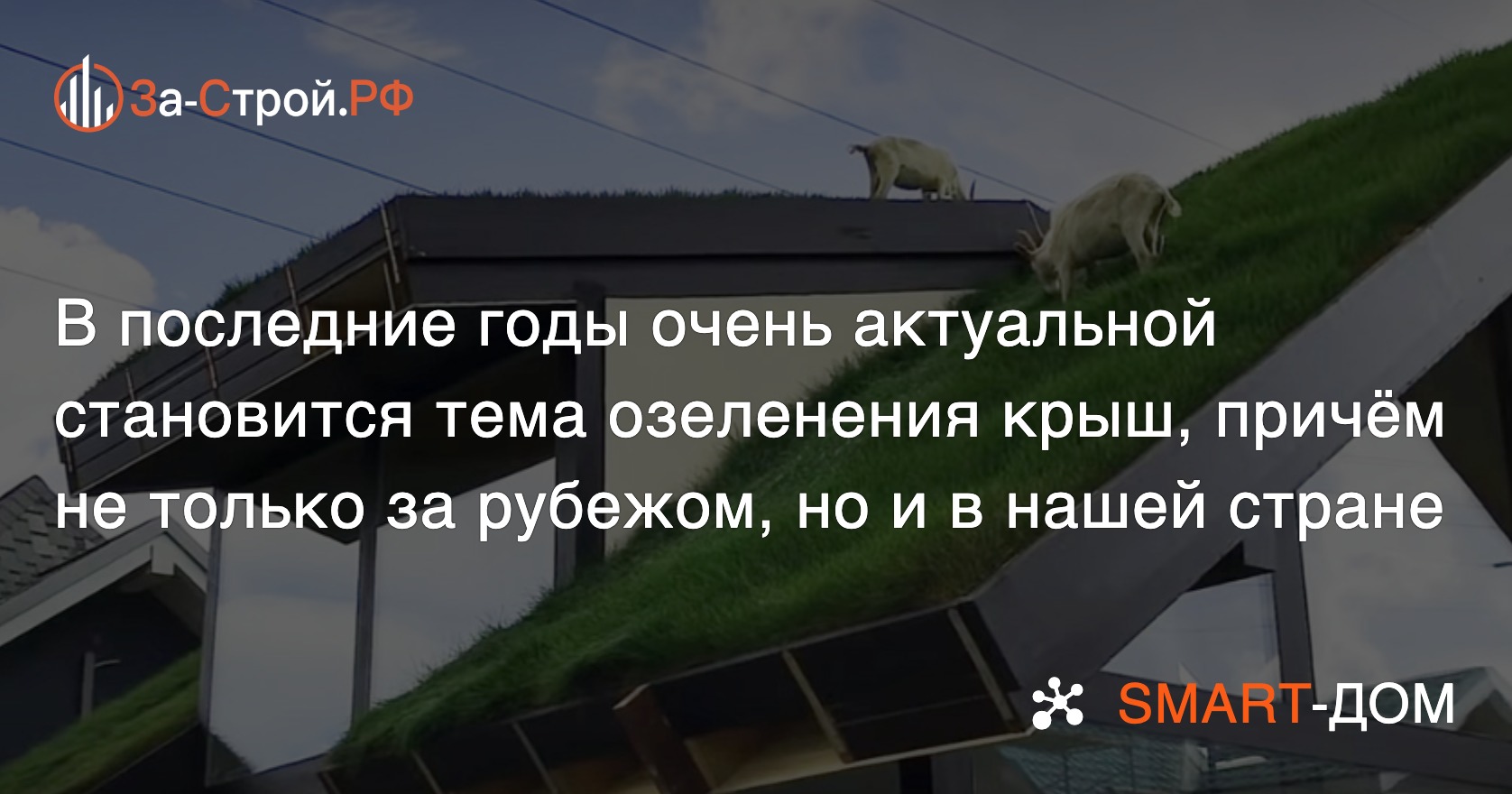 Зеленая крыша или газон на крыше