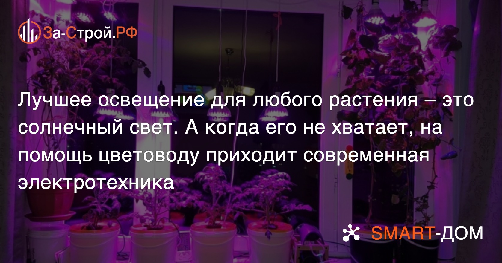 Подсветка для комнатных растений