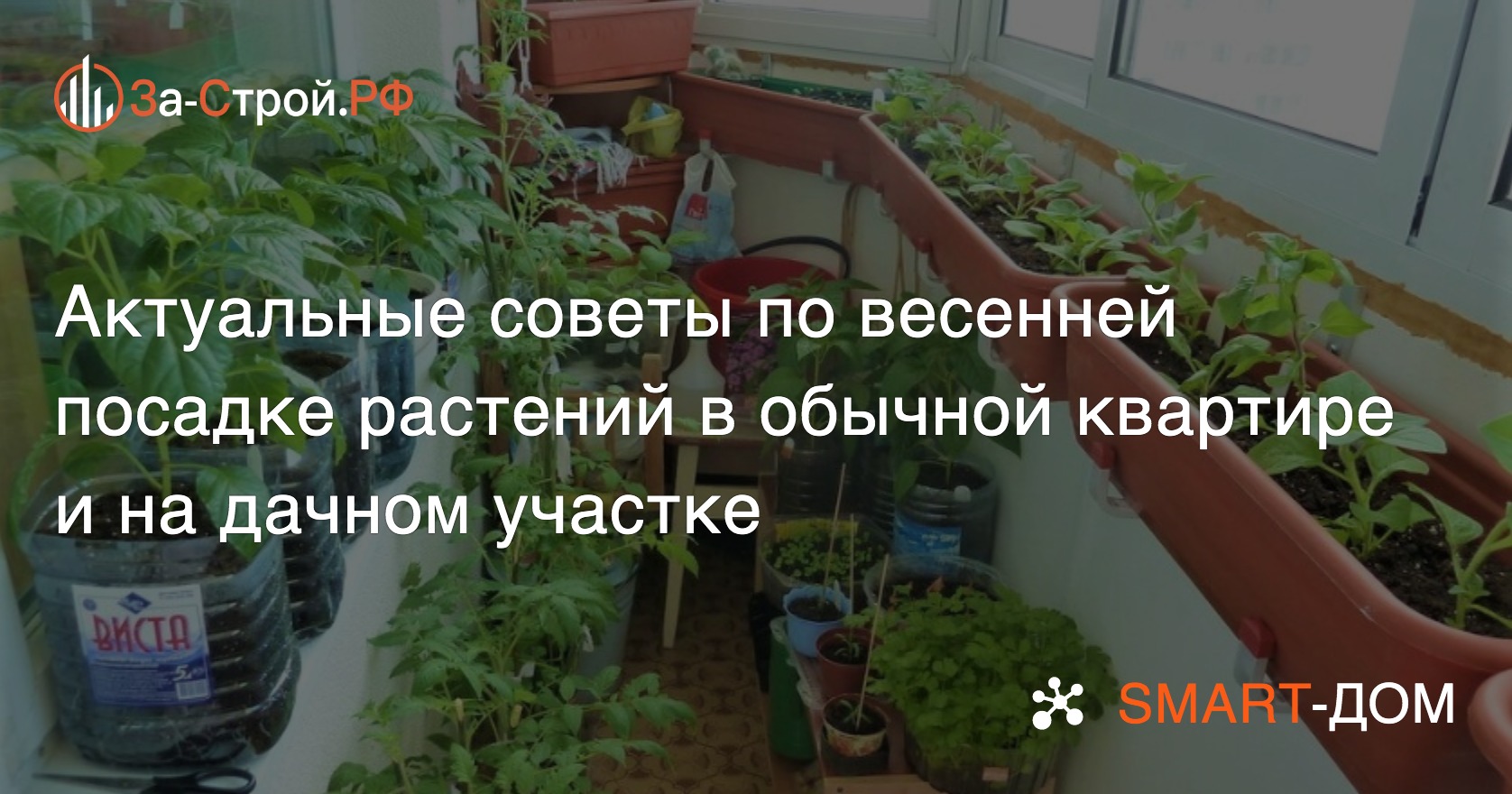 Весенняя посадка растений в обычной квартире и на дачном участке