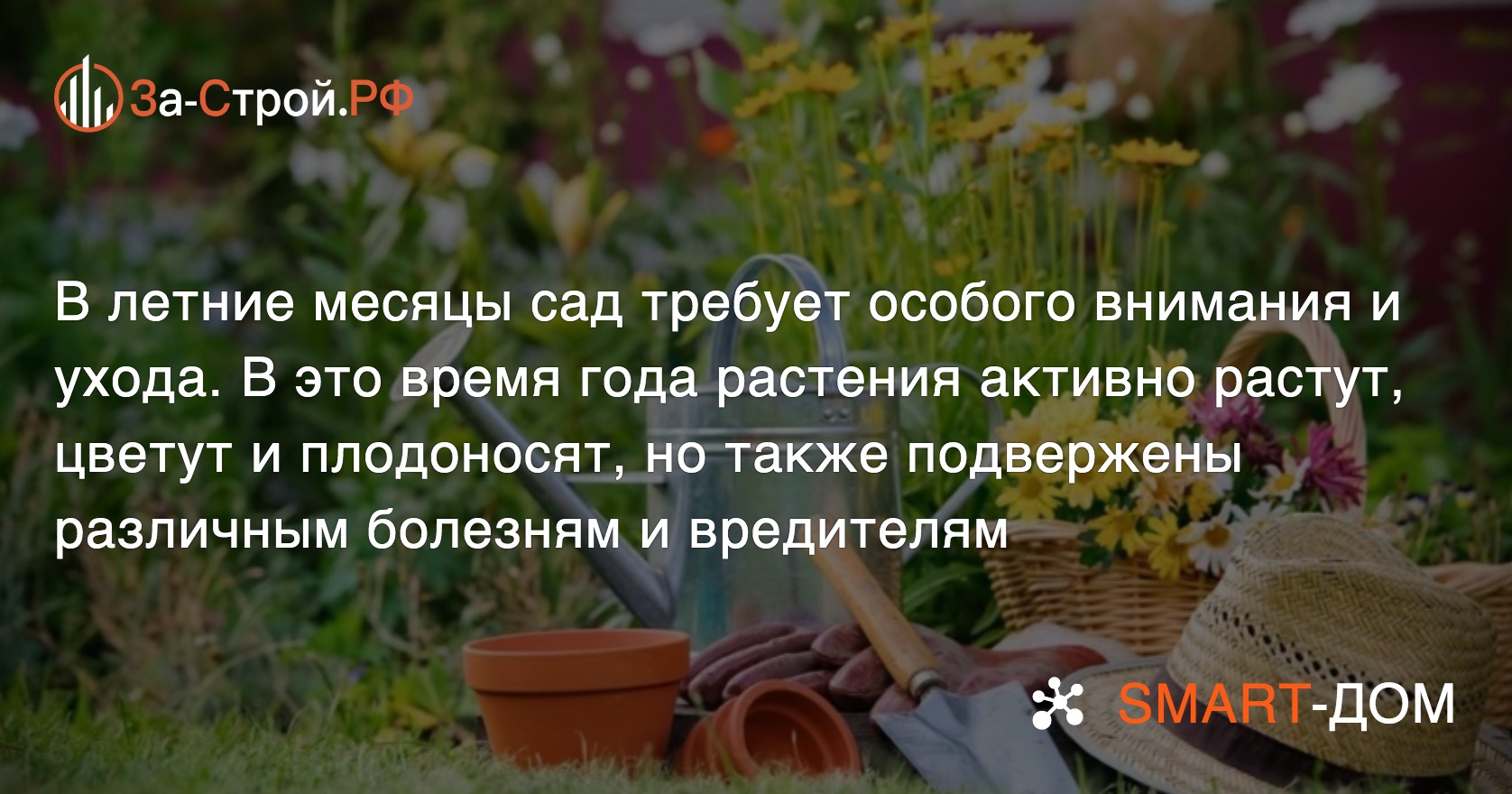 Как можно позаботиться о саде в жаркое время года