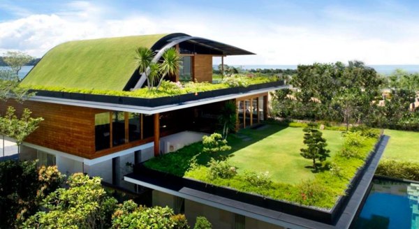 Зелёные крыши с их преимуществами 