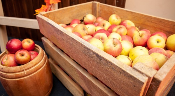 Как зимой сохранить яблоки и груши